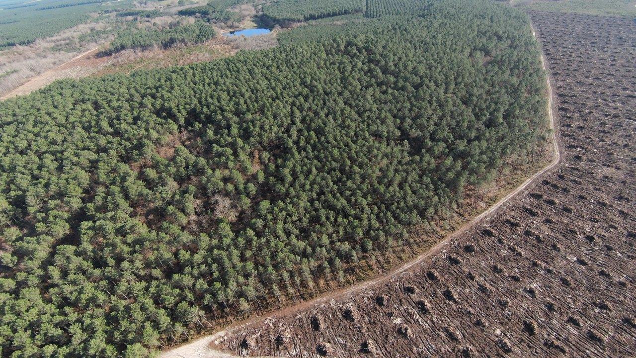 bois-landes-biomasse-bhm-hugues-maubourguet-infinie-energie